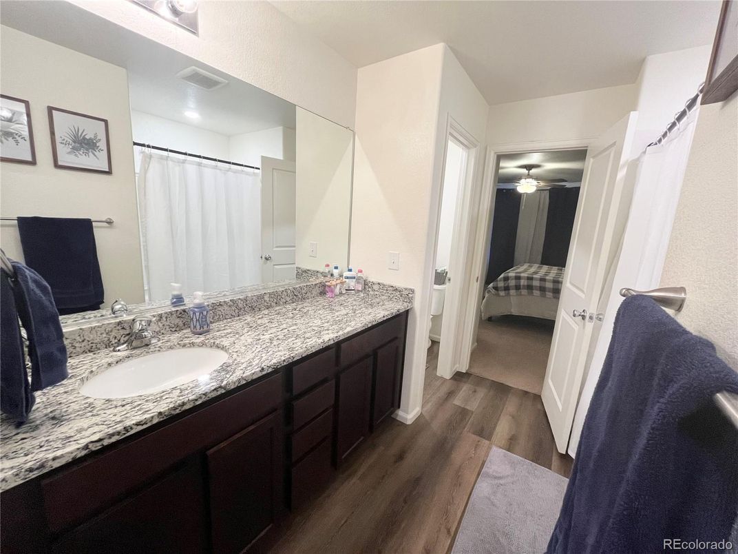 Bathroom, Dual Sink Vanities, Interior, Wood Texture Flooring
