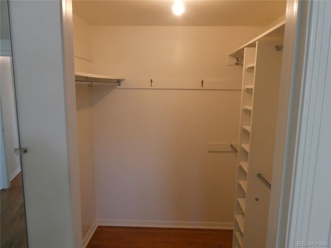 Interior, Walk-in Closets, Wood Texture Flooring