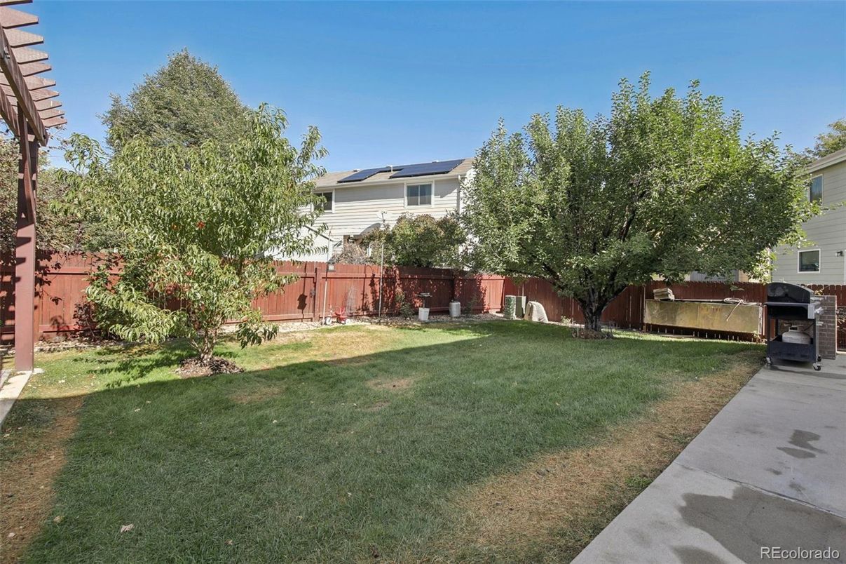 Backyard, Exterior, Solar Panels