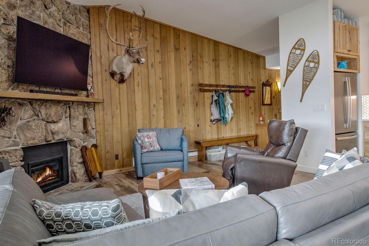 Fireplace, Interior, Living room, Stone Walls, Wooden Walls