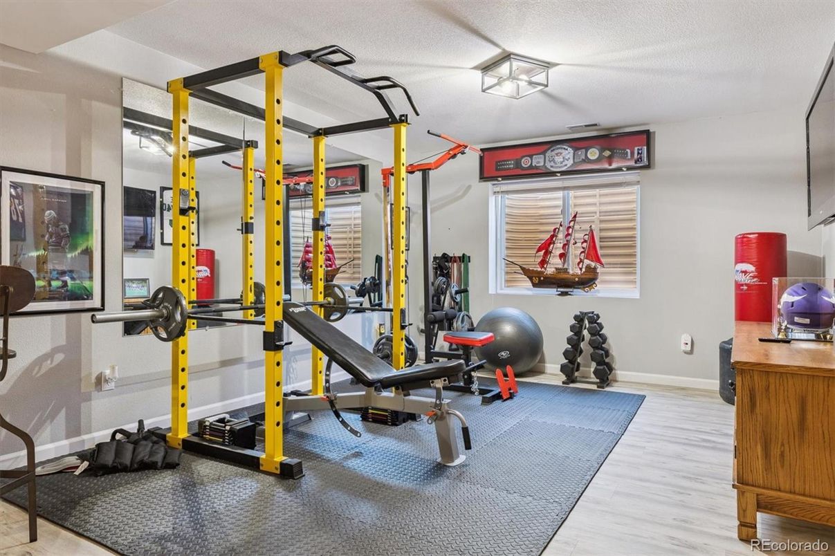 Fitness Equipment, Interior, Wood Texture Flooring