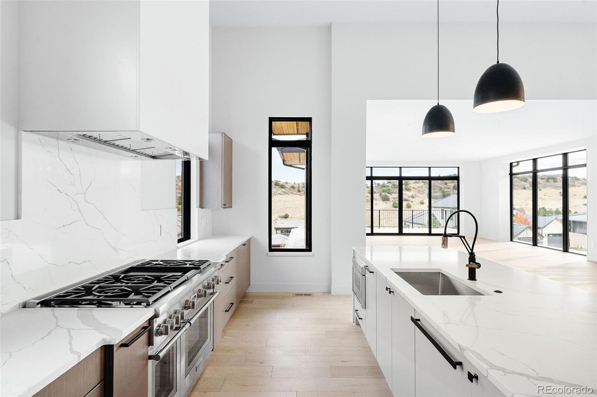 Interior, Kitchen, Marble Walls, Pendant Lights, Stainless Steel Appliances, Wood Texture Flooring