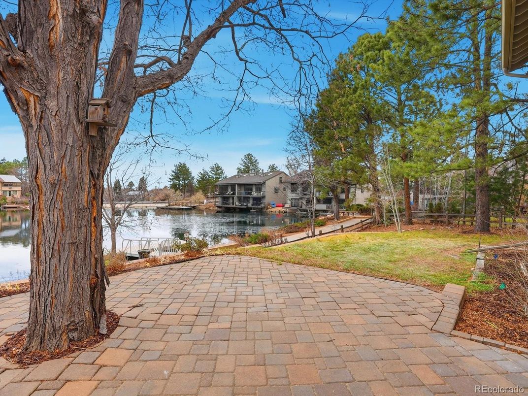 Backyard, Exterior, Water