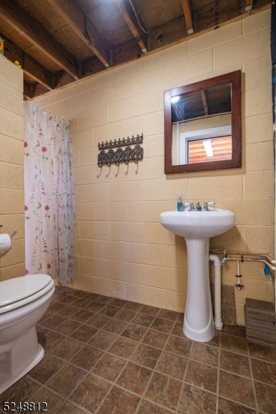Bathroom, Interior, Wooden Beams, Wooden Ceilings