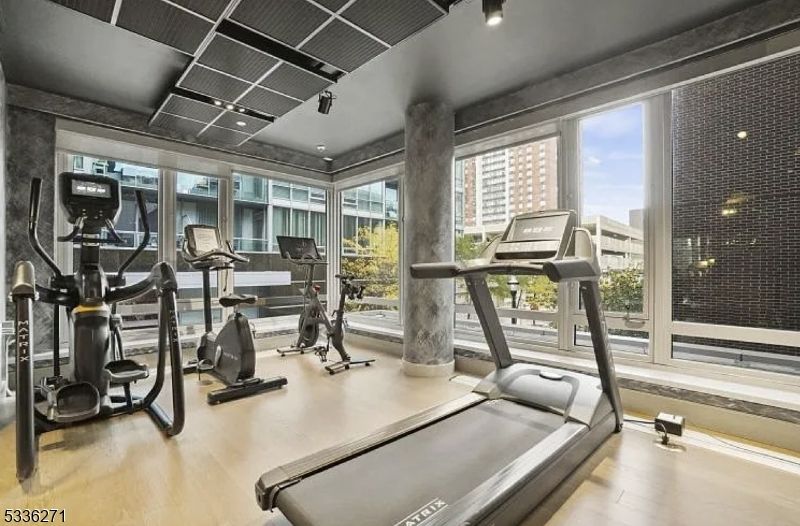Fitness Equipment, Gym, Interior, Recessed Lighting, Wood Texture Flooring
