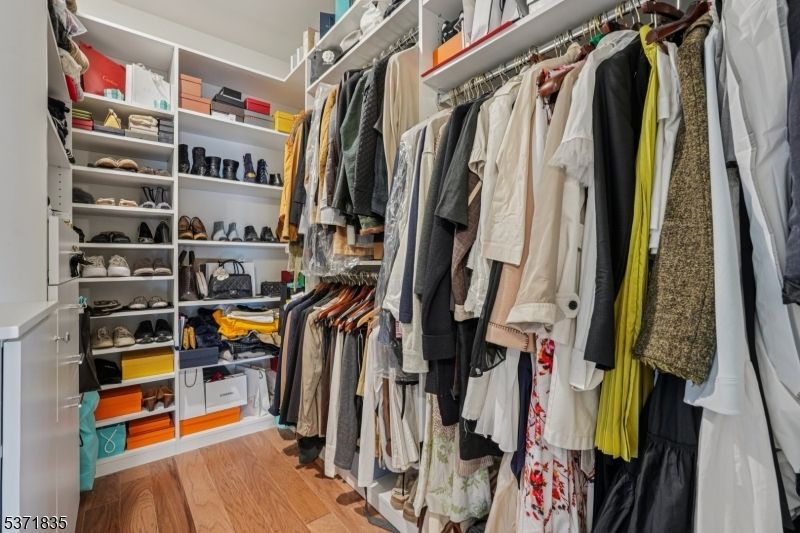 Interior, Walk-in Closets, Wood Texture Flooring