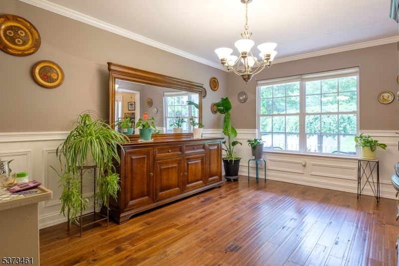 Chandelier, Interior, Wood Texture Flooring