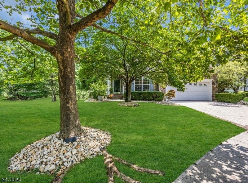 Backyard, Detached Garage, Exterior