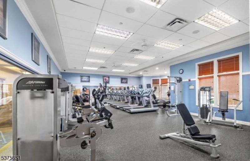 Fitness Equipment, Gym, Interior, Recessed Lighting