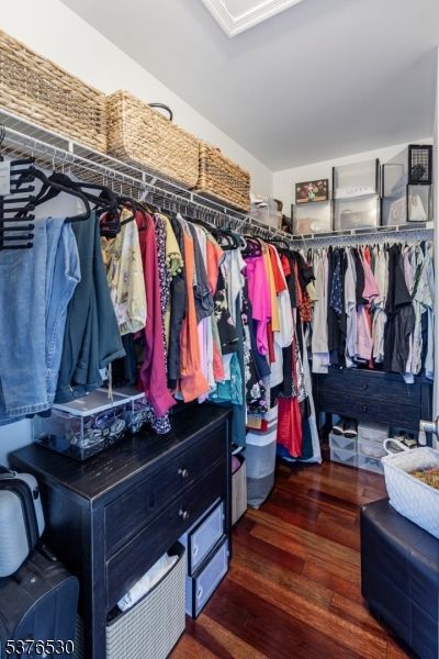 Interior, Walk-in Closets, Wood Texture Flooring