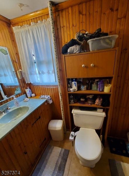 Bathroom, Interior, Wooden Walls