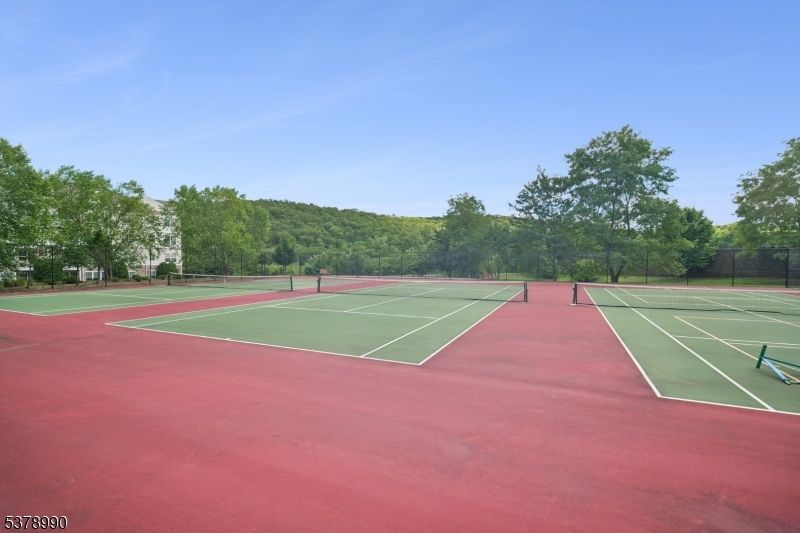 Exterior, Tennis Courts