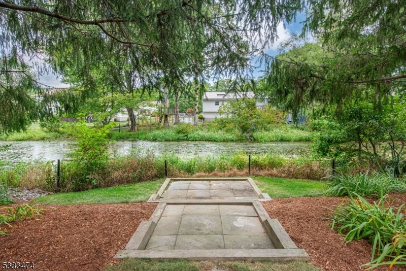 Backyard, Exterior, Water