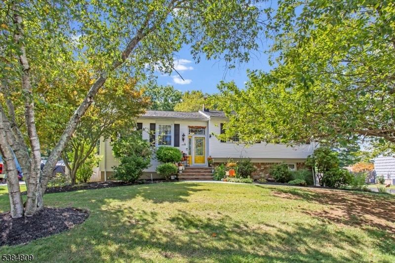 Backyard, Exterior, Facade, Split Level