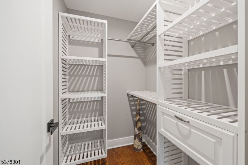 Interior, Walk-in Closets, Wood Texture Flooring