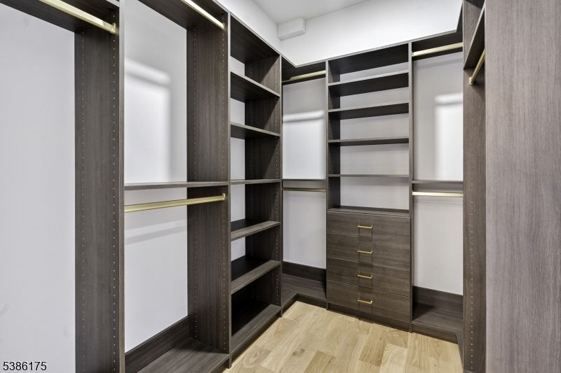 Interior, Walk-in Closets, Wood Texture Flooring