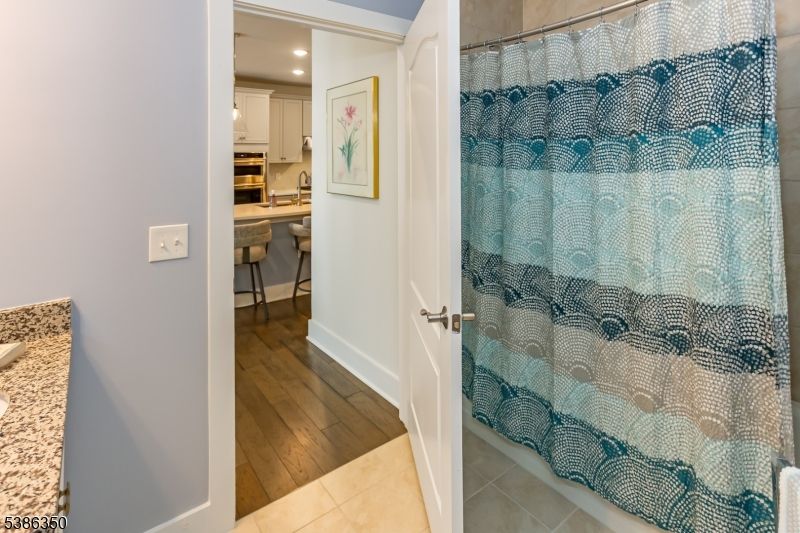 Bathroom, Interior, Recessed Lighting, Wood Texture Flooring