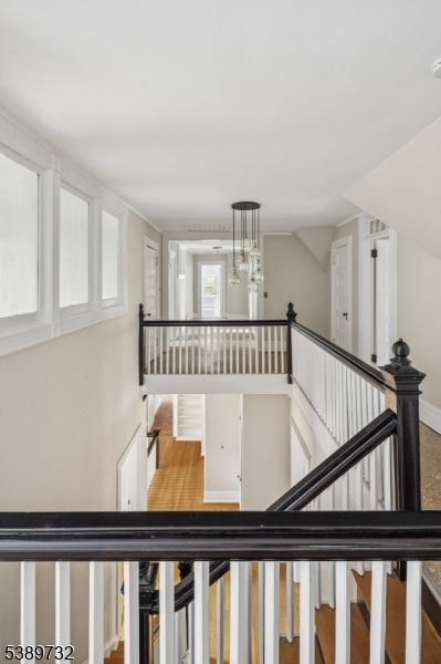 Interior, Pendant Lights