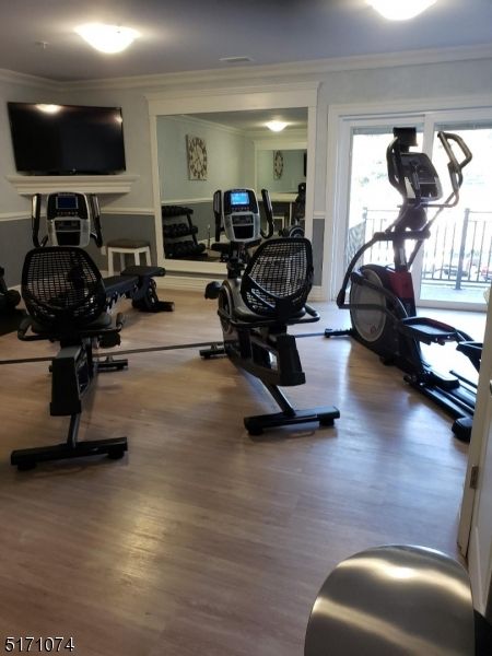 Fitness Equipment, Interior, Wood Texture Flooring