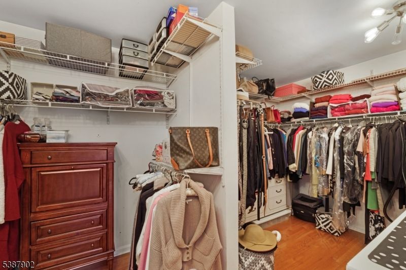 Interior, Walk-in Closets, Wood Texture Flooring