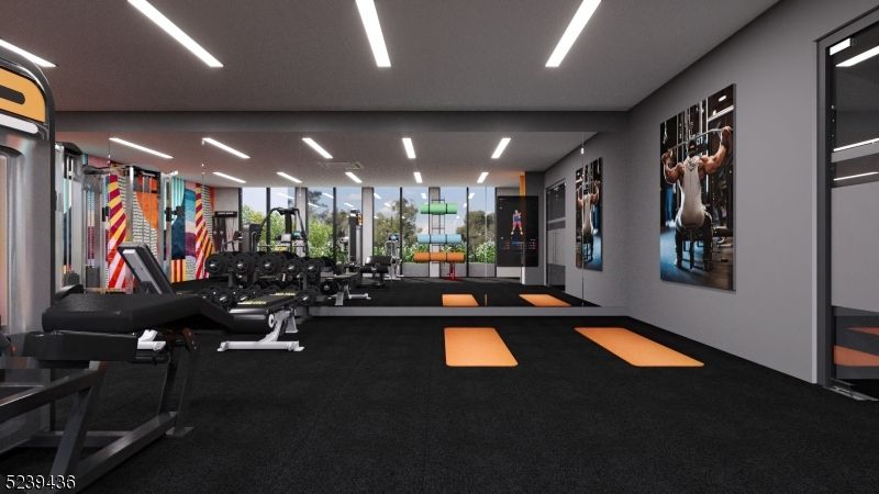 Fitness Equipment, Gym, Interior, Recessed Lighting