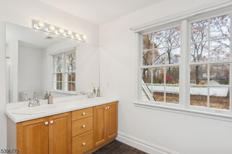 Bathroom, Dual Sink Vanities, Interior, Wood Texture Flooring