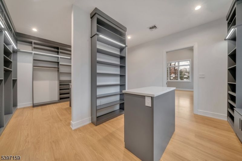 Interior, Recessed Lighting, Walk-in Closets, Wood Texture Flooring