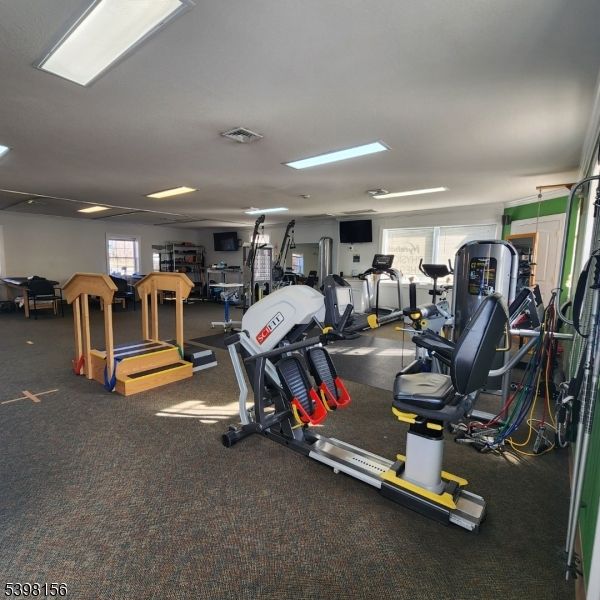 Fitness Equipment, Gym, Interior, Recessed Lighting