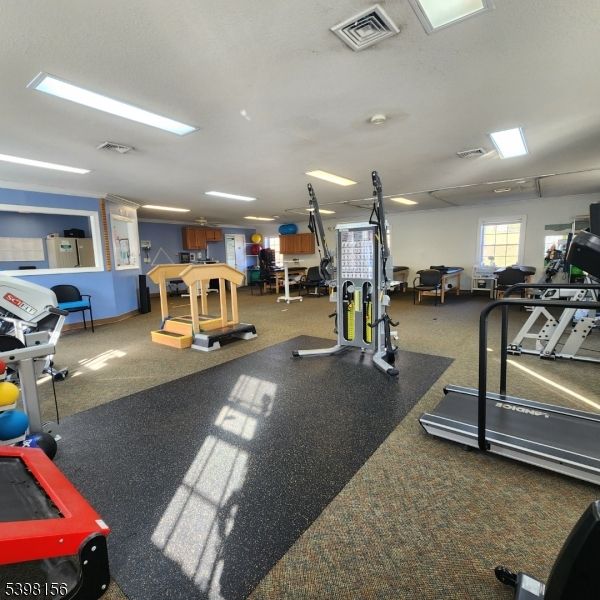 Fitness Equipment, Gym, Interior, Recessed Lighting