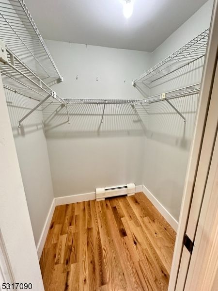 Interior, Walk-in Closets, Wood Texture Flooring