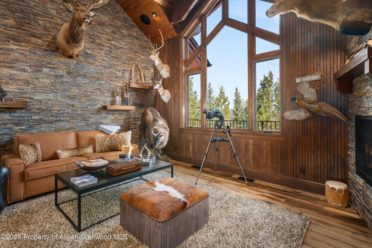 Fireplace, Interior, Living room, Stone Walls, Wooden Ceilings, Wood Texture Flooring, Wooden Walls