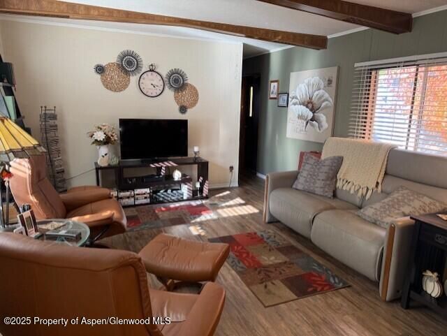 Interior, Living room, Wooden Beams, Wood Texture Flooring