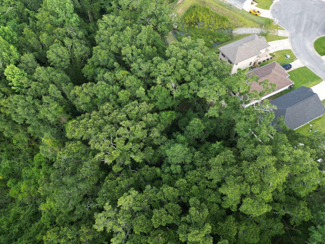 Exterior, Drone