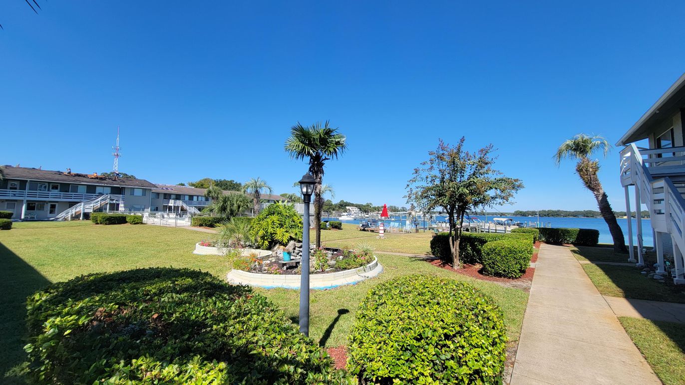 Backyard, Exterior, Water