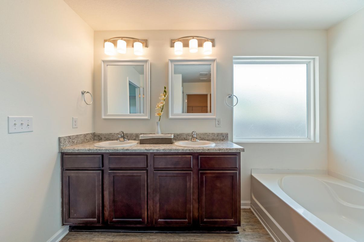 Bathroom, Dual Sink Vanities, Interior, Wood Texture Flooring