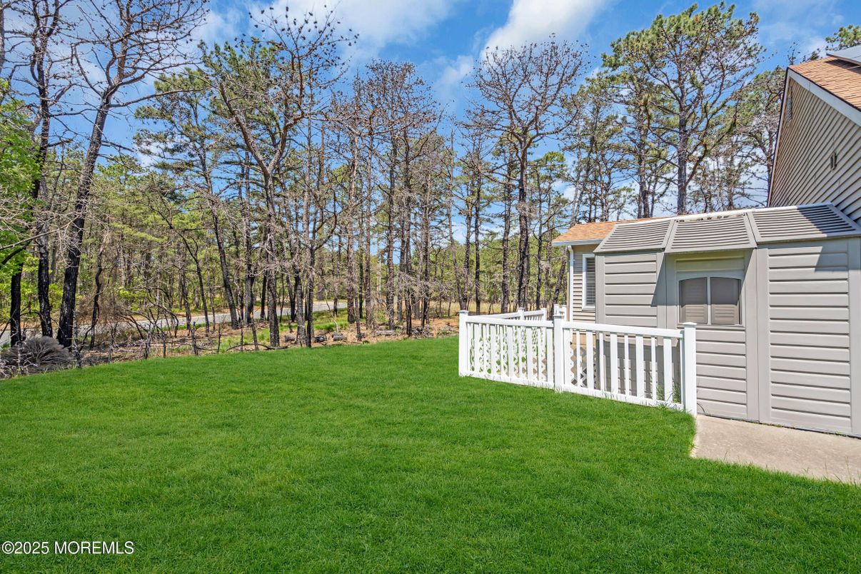 Backyard, Exterior