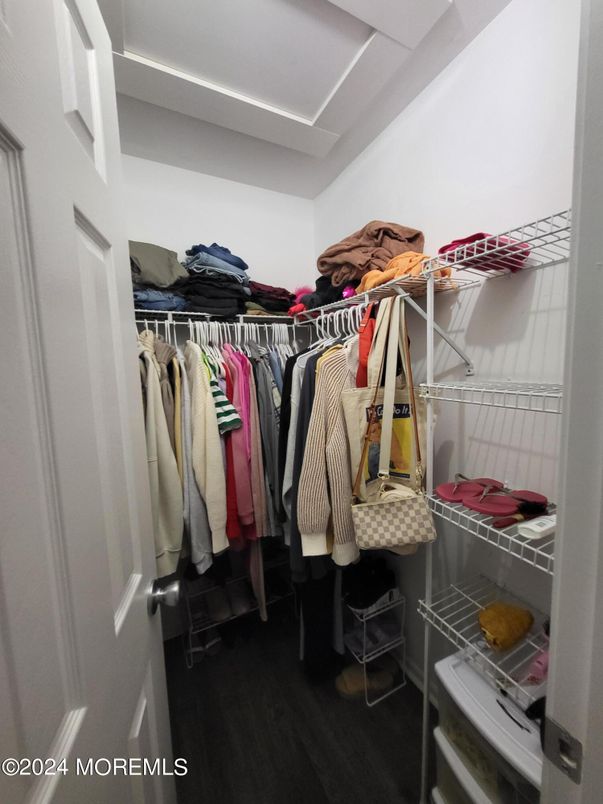 Interior, Walk-in Closets, Wood Texture Flooring