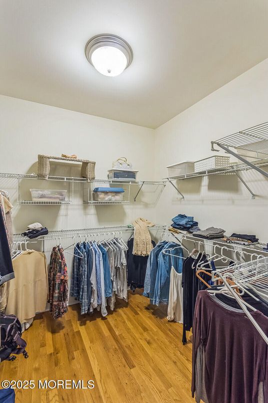Interior, Walk-in Closets, Wood Texture Flooring