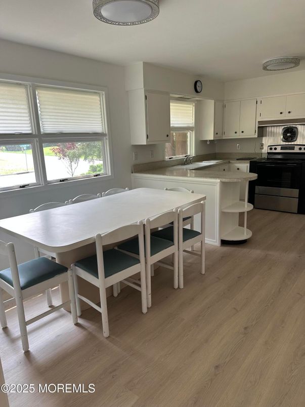 Dining room, Interior, Kitchen, Stainless Steel Appliances, Wood Texture Flooring