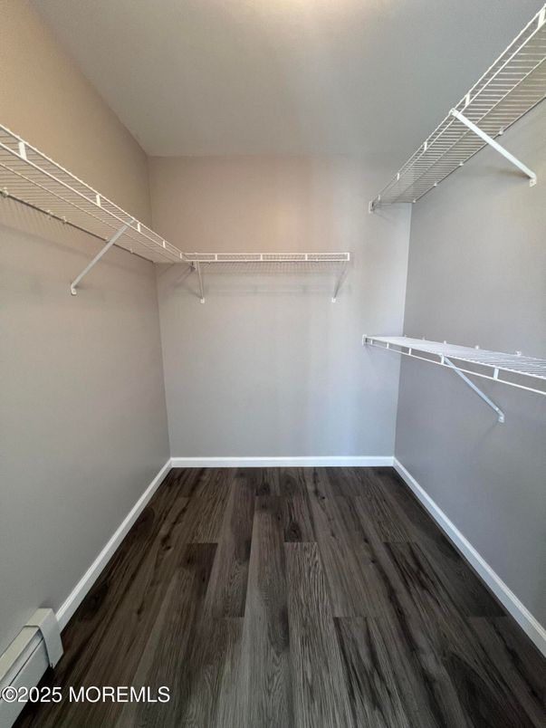 Interior, Walk-in Closets, Wood Texture Flooring