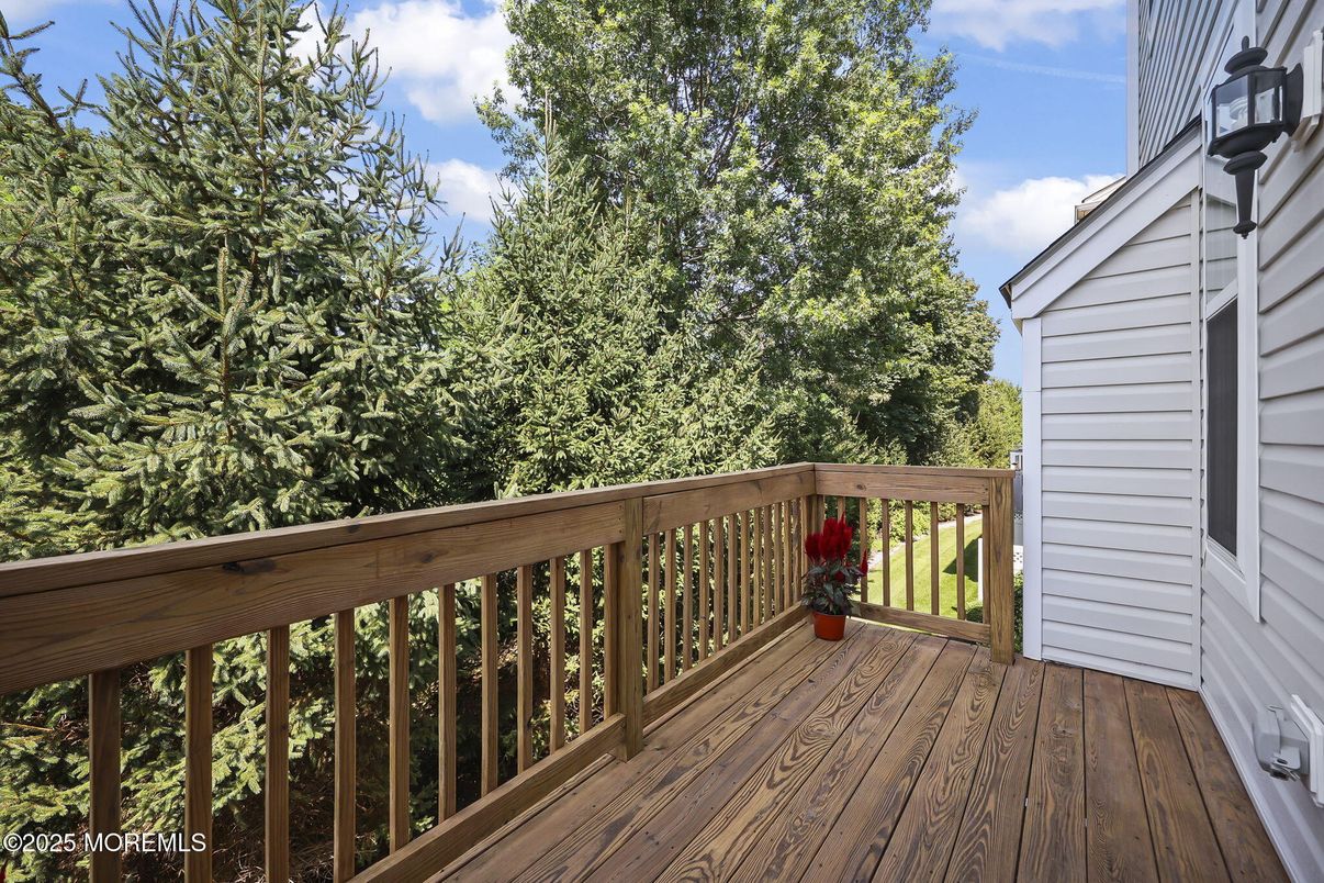 Exterior, Wood Texture Flooring