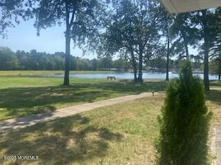Backyard, Exterior, Water