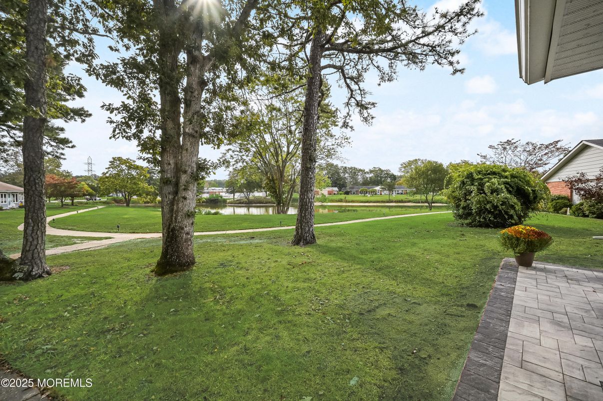 Backyard, Exterior, Water