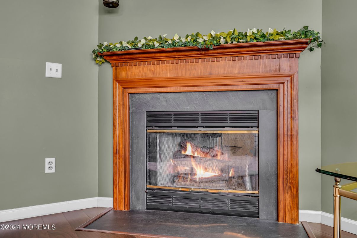 Fireplace, Interior, Wood Texture Flooring