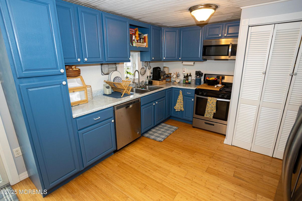 Interior, Kitchen, Stainless Steel Appliances, Wood Texture Flooring