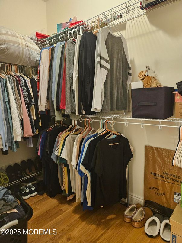 Interior, Walk-in Closets, Wood Texture Flooring