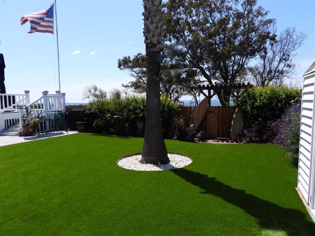 Backyard, Exterior, Playground