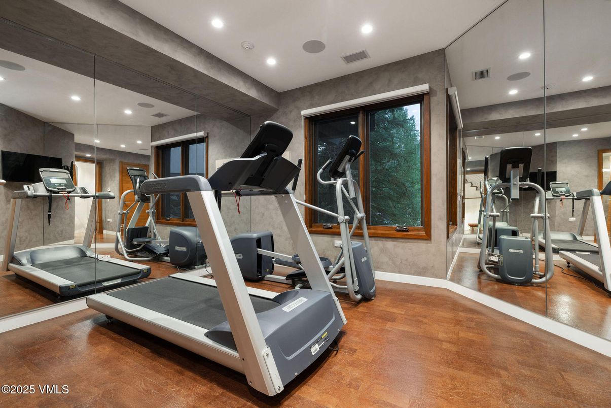 Fitness Equipment, Gym, Interior, Recessed Lighting, Wood Texture Flooring