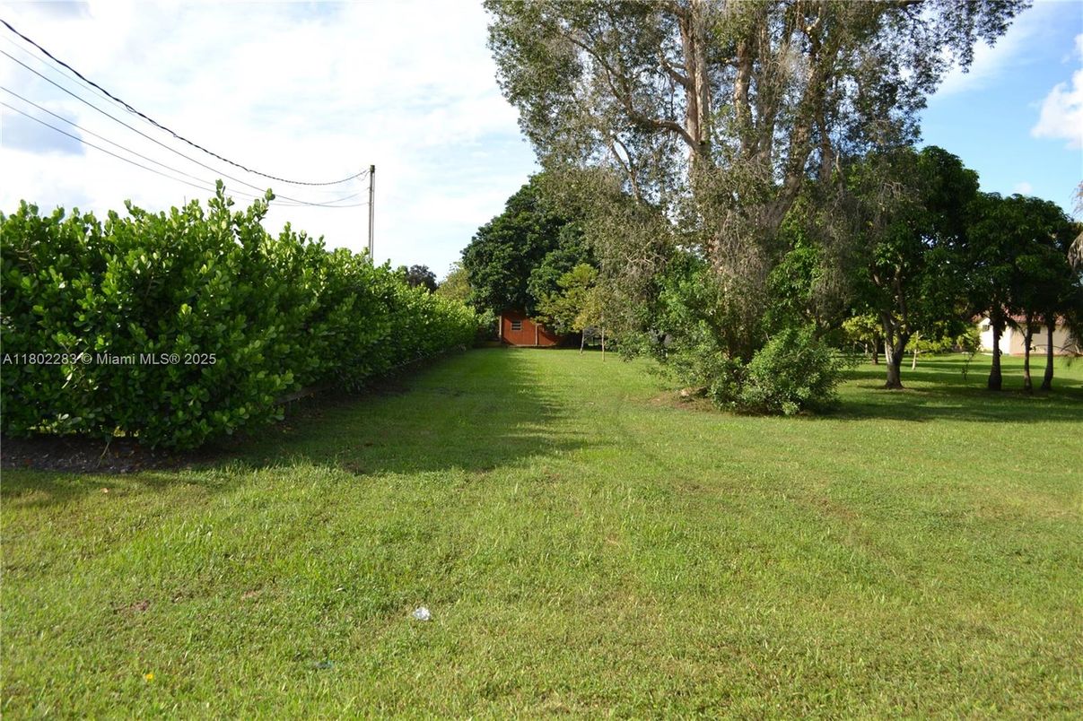Backyard, Exterior