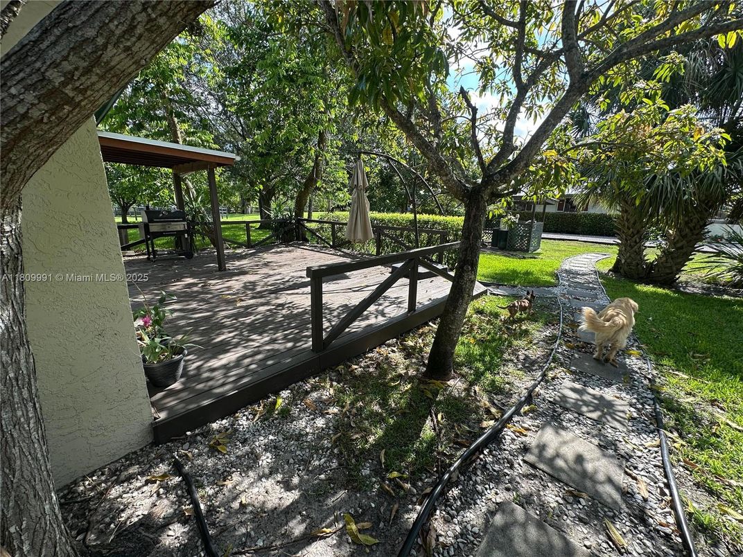 Backyard, Exterior
